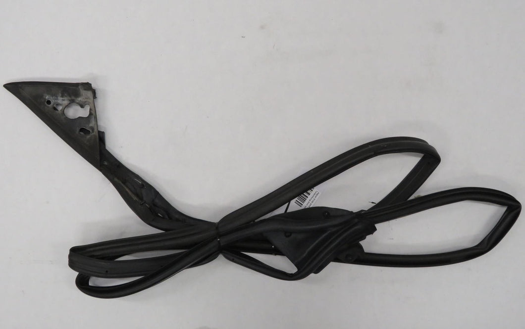 Jaguar X100 XKR XK8 Coupe Türdichtung door seal left Links HJA5363AC