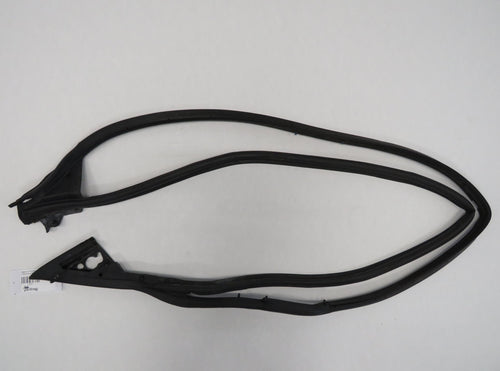 Jaguar X100 XKR XK8 Coupe Türdichtung Rechts HJA5362AC