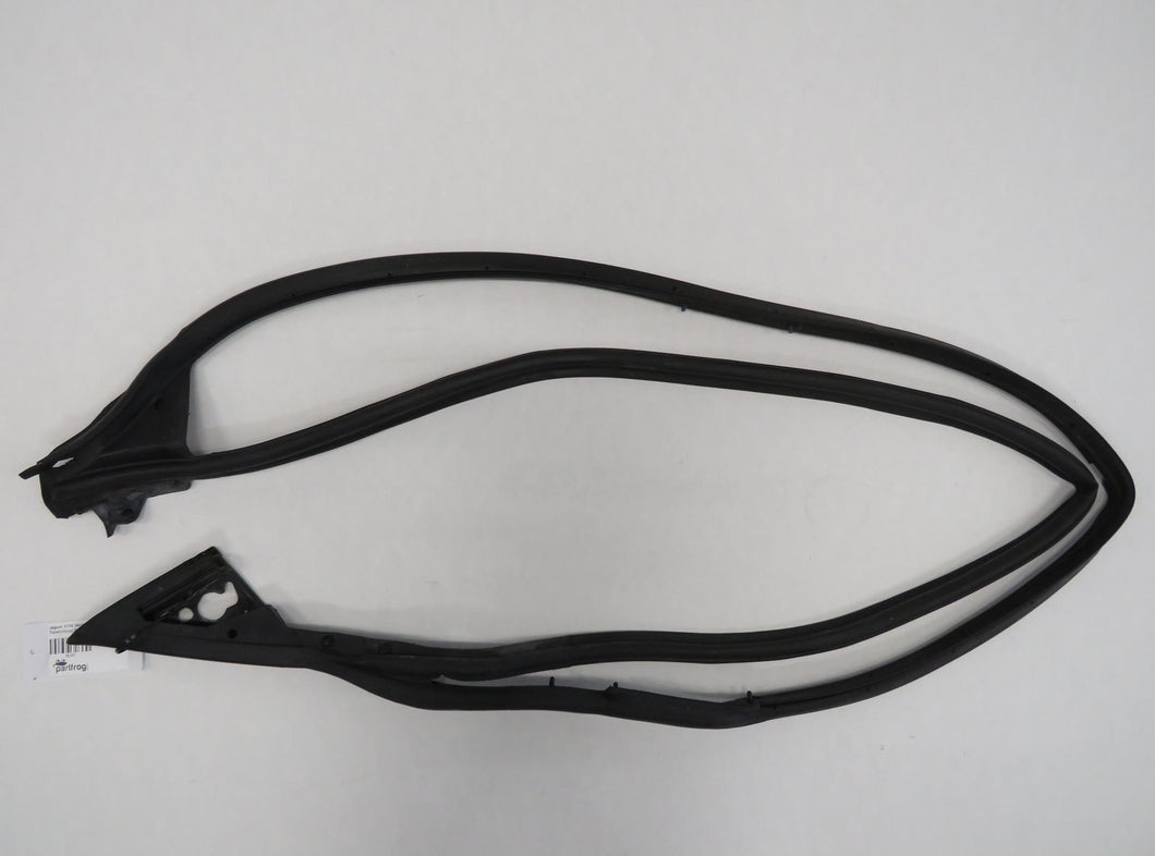 Jaguar X100 XKR XK8 Coupe Türdichtung Rechts HJA5362AC