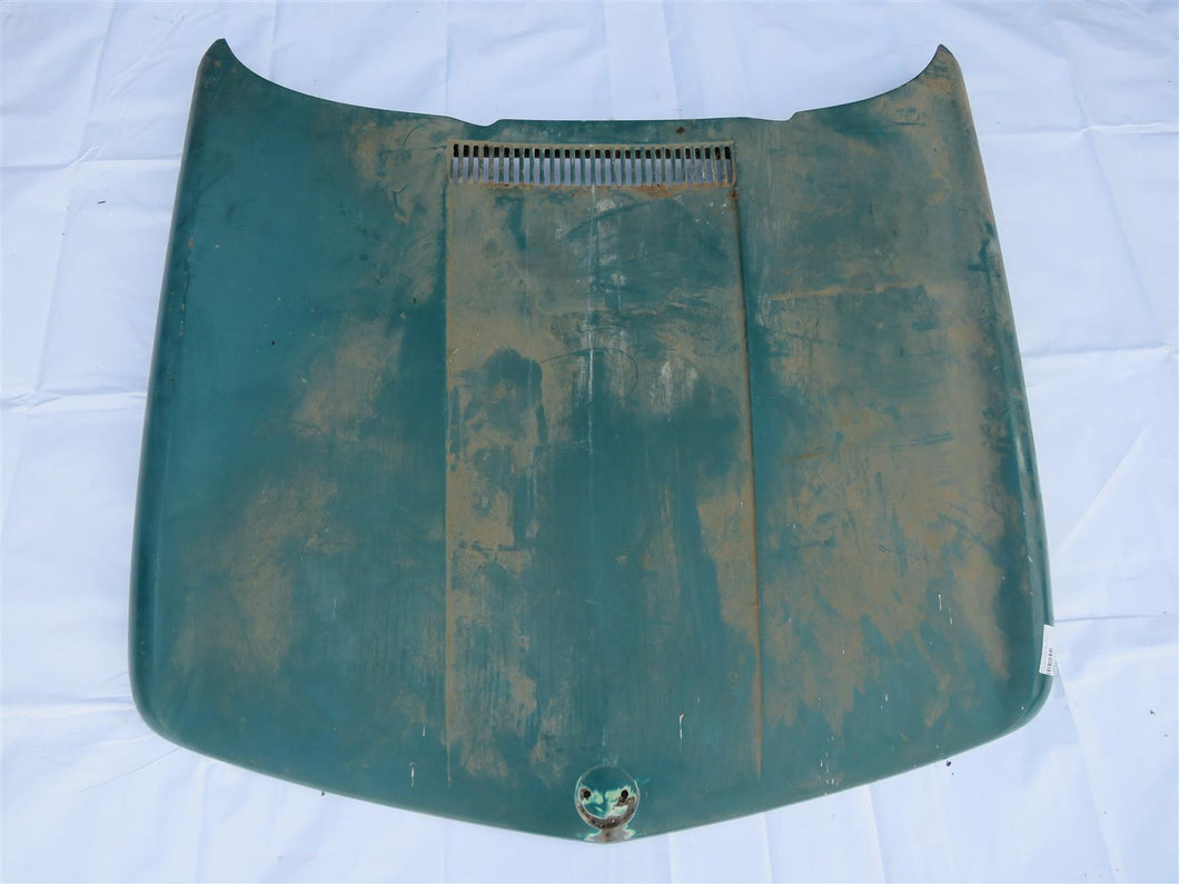 BMW Neue Klasse 1500 1600 1800 2000 Motorhaube Haube Grün Zierleiste