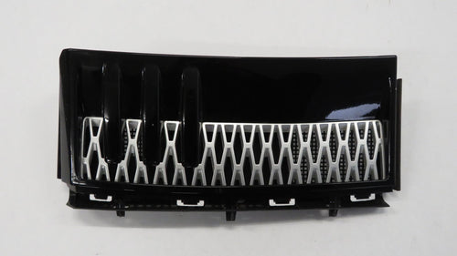 Range Rover III L322 Facelift 2006 Gitter Grill Kotflügel vorn links LR011355