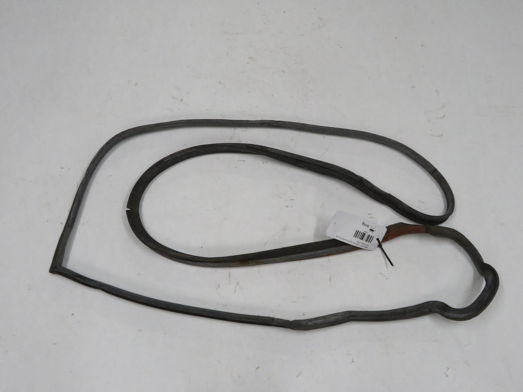 BMW E12 Türdichtung Gummidichtung Tür hinten links